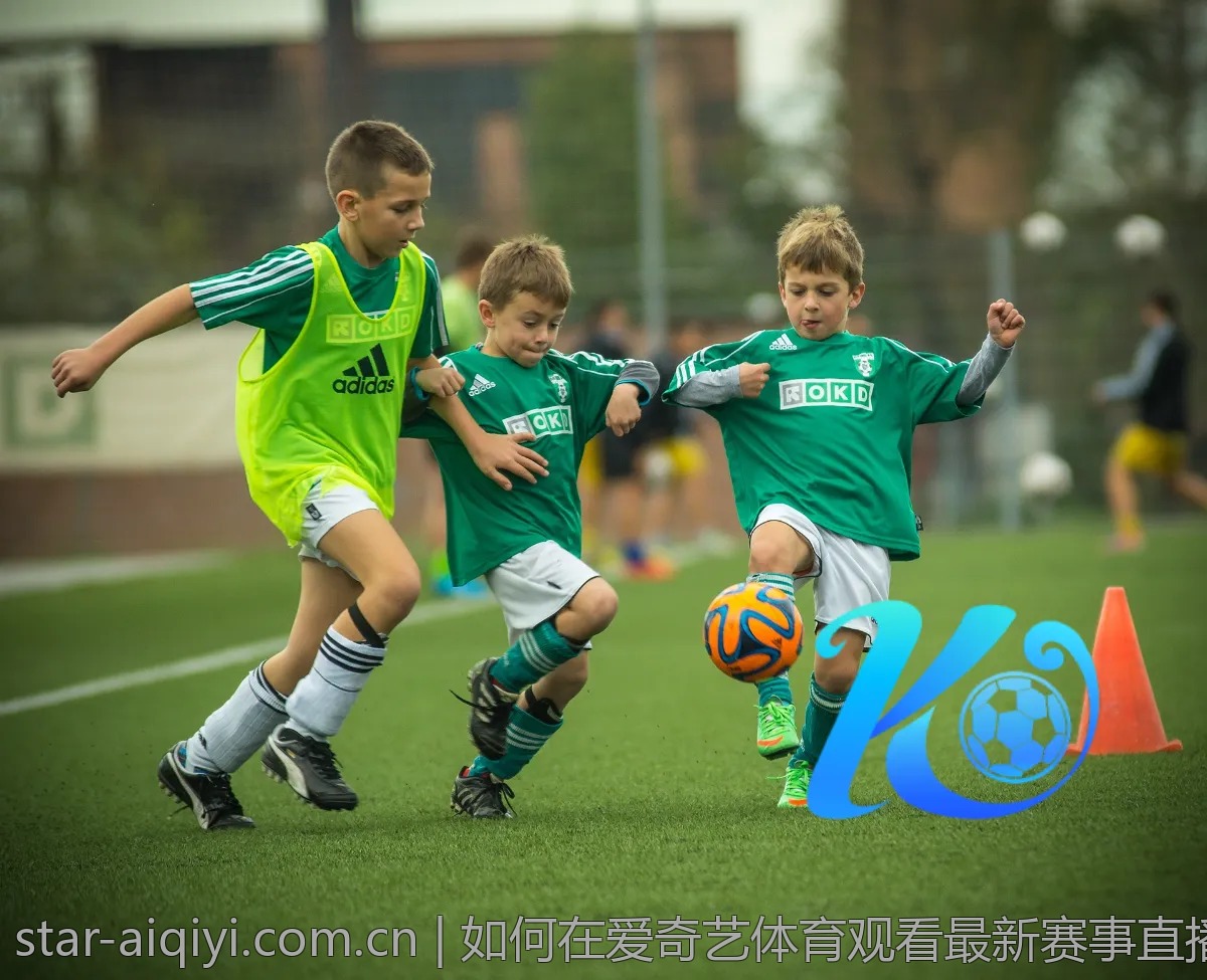 如何在爱奇艺体育观看最新赛事直播：实用技巧分享